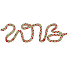 Card with lace snake. 2013 new year.  Vector.