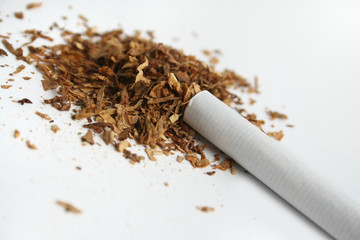 Cigarette and tobacco