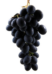 grapes