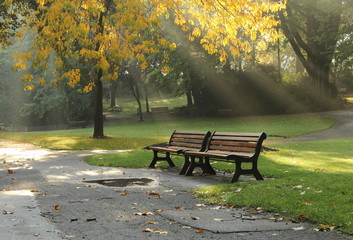Deux bancs dans le parc d'automne avec rayons de soleil. - obrazy, fototapety, plakaty