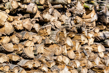 wood in pile outdoor