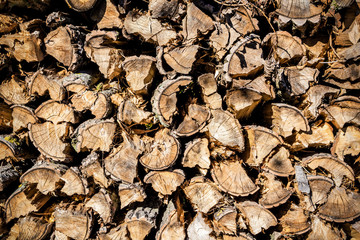 wood in pile outdoor