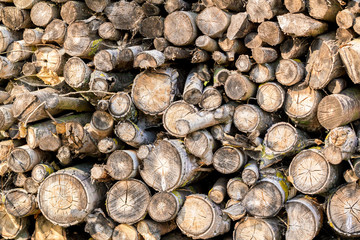 wood in pile outdoor