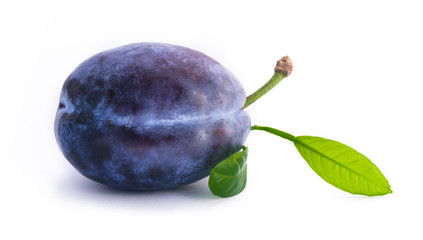 Plum with leaf