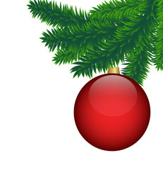 spruce branches with bright red ball for the new year