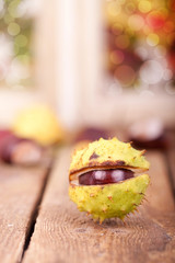 schöner Herbst