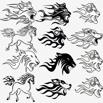 set of graphic tattoos firehorse lion wolf and panther
