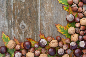 autumn © Cora Müller