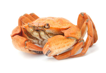 red boiled crab isolated on white background