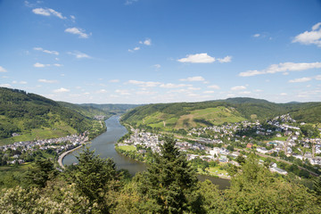 Fototapeta na wymiar Rzeka Mozela pobliżu Bullay w Niemczech