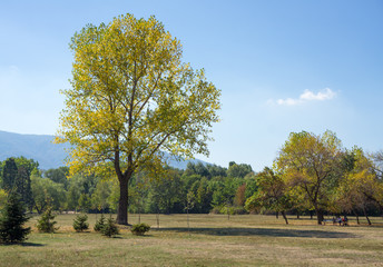 Obraz premium City park