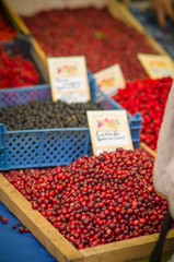 Variety of wild berries on table on city market