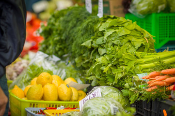Variety of salad leaves on city market