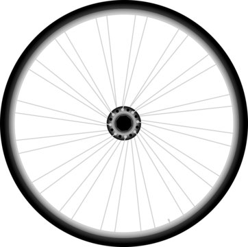 Bike wheel - vector on white background
