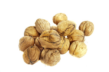 Large, fresh walnuts