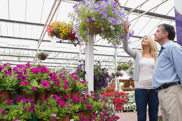 Couple looking at hanging flower basket