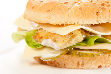 cheeseburger on the plate