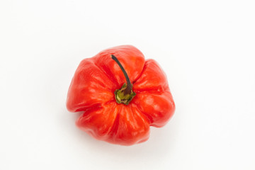 Red chili pepper