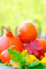 K&uuml;rbisse und Herbstlaub