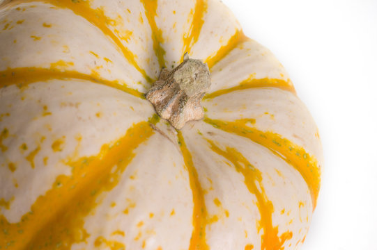 Fairytale Pumpkins