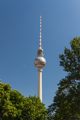 Fototapeta premium television tower in berlin mitte