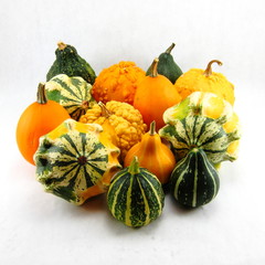Vivid Autumn gourds set against a white background