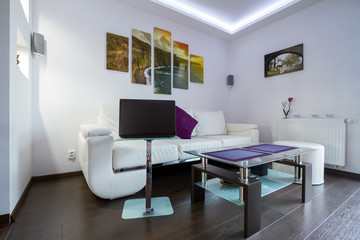Modern lliving room interior with Cliffs of Moher picture