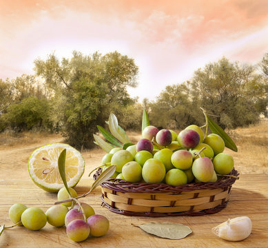 Aceitunas, condimentos, escena de olivares.