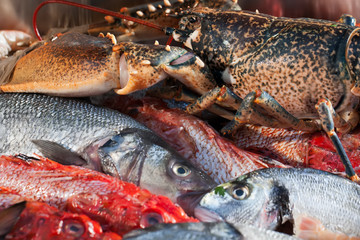 Going to the slaughter house.