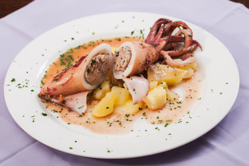 Squid