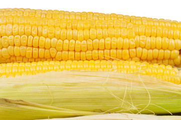Fresh corn