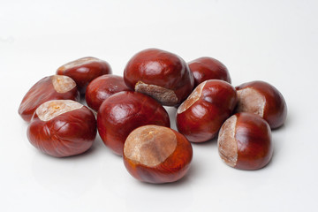 Obraz premium Chestnut