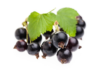 Schwarze Johannisbeeren vor weißem Hintergrund