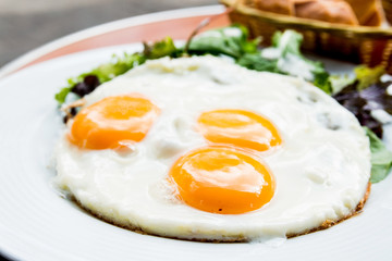 Prepared Egg