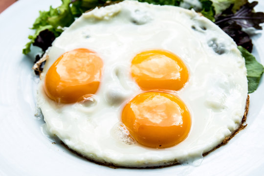 Prepared Egg