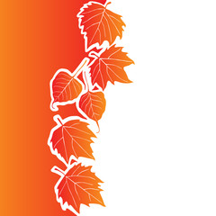 Floral background or decorative design