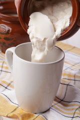 Homemade fermented milk