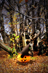 Halloween background with pumpkins and trees