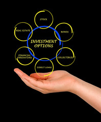 Investment options