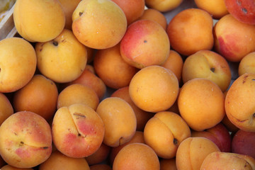Apricots at a market