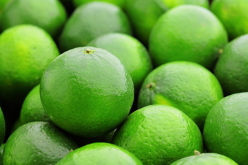 lime citrus fruit