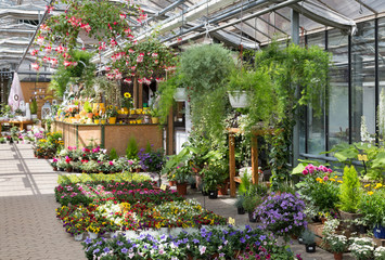 Garden center selling plants in a greenhouse - obrazy, fototapety, plakaty