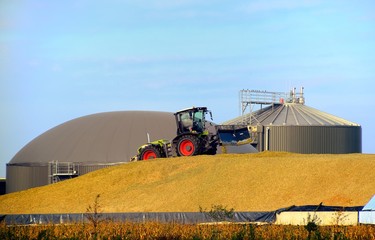 Biogasanlage lagert Mais ein