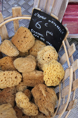 Natural sponge at a French market
