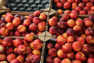 Nectarines at a market