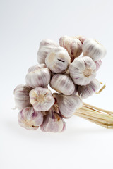 fresh garlic  on white background