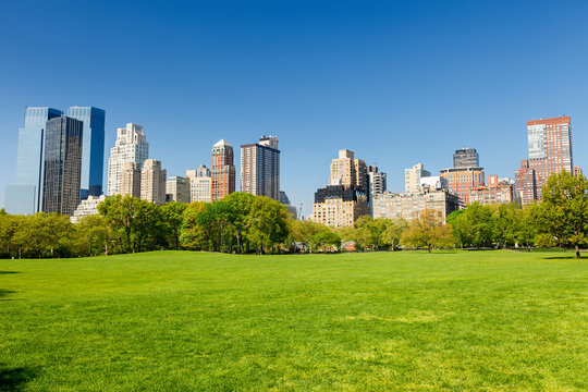 Fototapeta Central park at sunny day