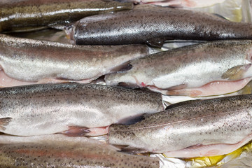 Prepared forelles close-up