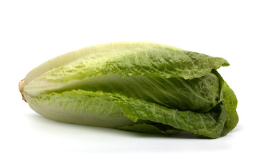 Fresh lettuce isolated on white