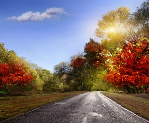 Road, asphalt, autumn